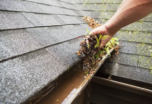 gutter cleaning