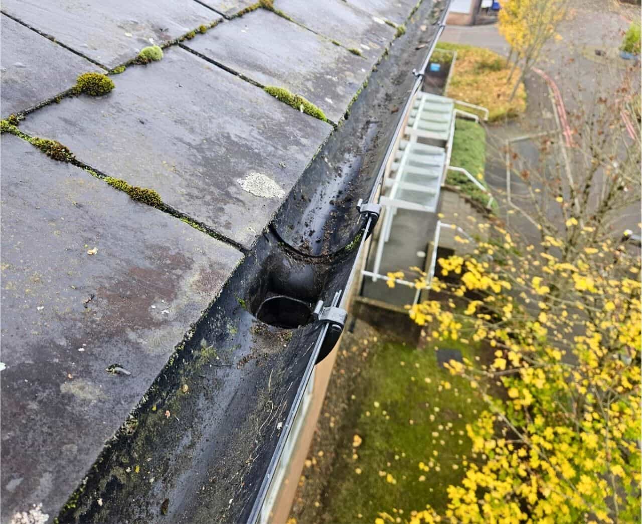 Residential Gutter Cleaning Swansea
